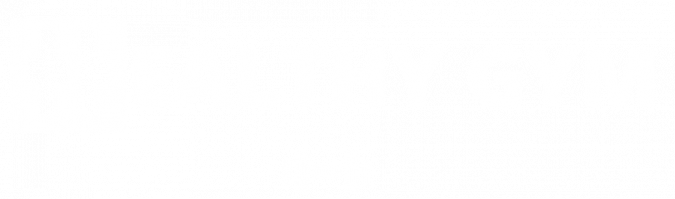 Healthy Gym